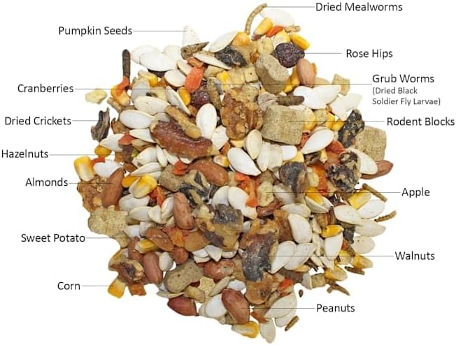 Exotic Nutrition Squirrel Complete (1.75 lb.) - Healthy Natural Food - Nutritional Diet for Pet & Captive Squirrels - Ground, Grey, Flying Squirrels, & Chipmunks