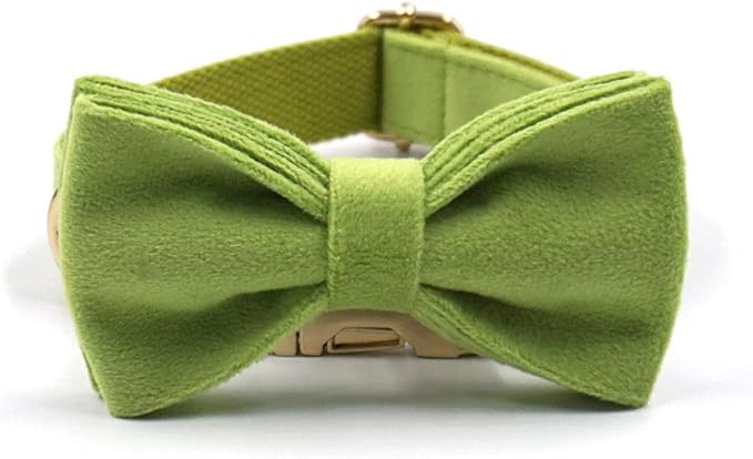 PETDURO Custom Dog Collar Personalized with Name Engraved Quick Release Rose Gold Metal Buckle for Large Medium Small Girl Dogs - Dog Leash and Bow Tie Available - Soft Comfy Velvet (Green, M)