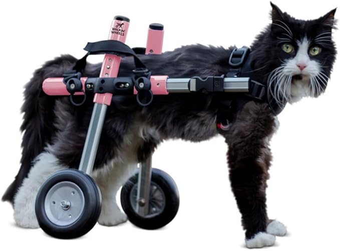 Walkin' Wheels Lightweight – for Small Cats 2 to 20 Pounds – Veterinarian Approved – Cat Wheelchair for Back Legs, for Cats 11-20 lbs, 9-13 inches Leg Height – Pink