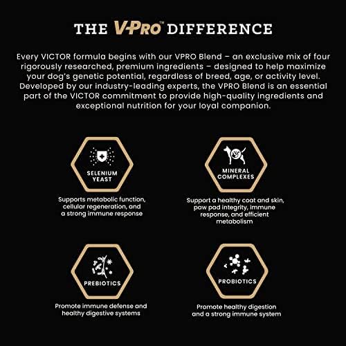 VICTOR Super Premium Dog Food – Hi-Pro Plus Dry Kibble – High Protein Dog Food with 30% Protein – Beef, Chicken, Pork, Fish Meals, Gluten Free - for High Energy and Active Dogs & Puppies, 5lbs