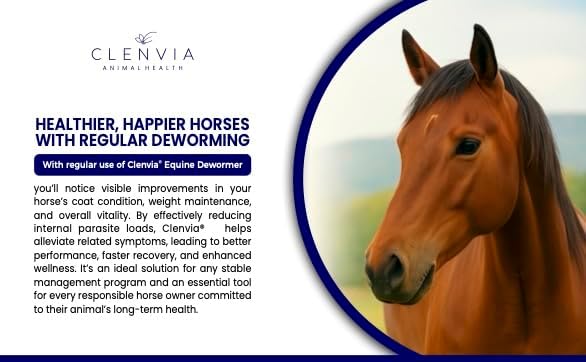 Horse Paste 10% – 4 Pack – 25g Syringes – Oral Deworming Paste for Horses of All Ages – Easy-to-Administer Equine Care