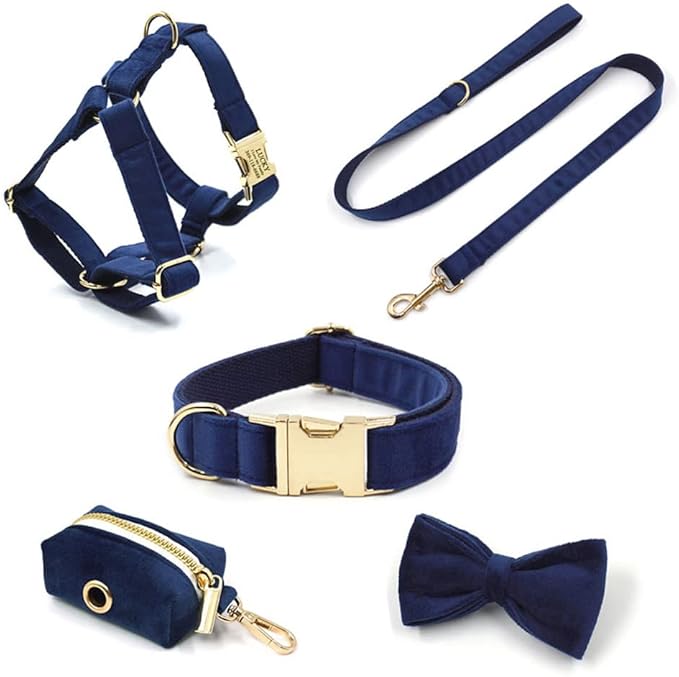 PETDURO Custom Dog Collar Personalized with Name Engraved Quick Release Rose Gold Metal Buckle for Large Medium Small Girl Dogs - Dog Leash and Bow Tie Available - Soft Comfy Velvet (Dark Blue, L)