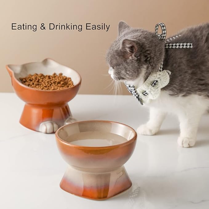 Nihow Elevated Cat/Dog Bowls Set : 6.2 Inch Ceramic Raised Cat Food & Water Bowl Set for Protecting Pet's Spine - Feeding & Watering Supplies for Cat/Small Size Dog - Elegant Brown (2PC)