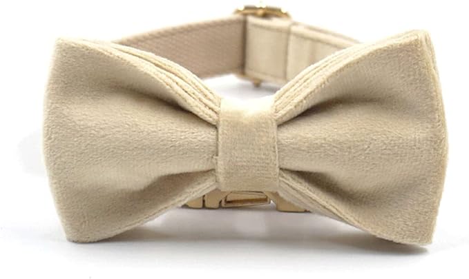 PETDURO Custom Dog Collar Personalized with Name Engraved Quick Release Rose Gold Metal Buckle for Large Medium Small Girl Dogs - Dog Leash and Bow Tie Available - Soft Comfy Velvet (Pale Brown, S)