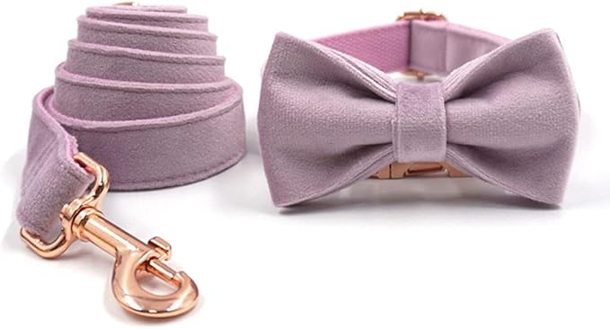 PETDURO Custom Dog Collar Personalized with Name Engraved Quick Release Rose Gold Metal Buckle for Large Medium Small Girl Dogs - Dog Leash and Bow Tie Available - Soft Comfy Velvet (Purple, M)