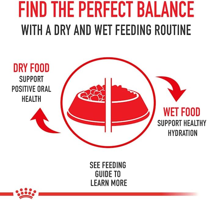 Royal Canin Size Health Nutrition Large Adult Dry Dog Food, 40 lb Bag