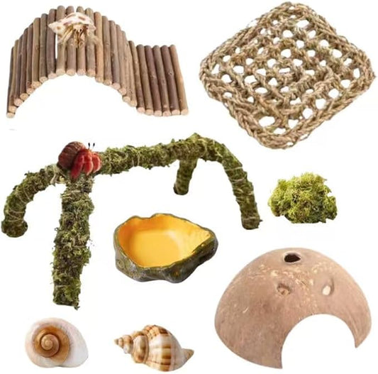 Hermit Crab Accessories – 8PCS Natural Hermit Crab Shells, Coconut Hideout, Climbing Toys Hammock, Moss, Plants & Water Dish, Habitat Decor for Hermit Crabs or Reptile Tank (C-Group-Water Dish).
