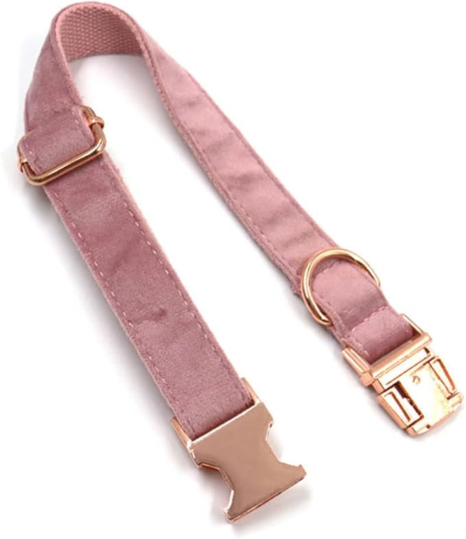 PETDURO Custom Dog Collar Personalized with Name Engraved Rose Gold Metal Buckle for Large Medium Small Girl Dogs - Dog Leash and Bow Tie Available - Soft Comfy Velvet (Champagne Pink RG, L)