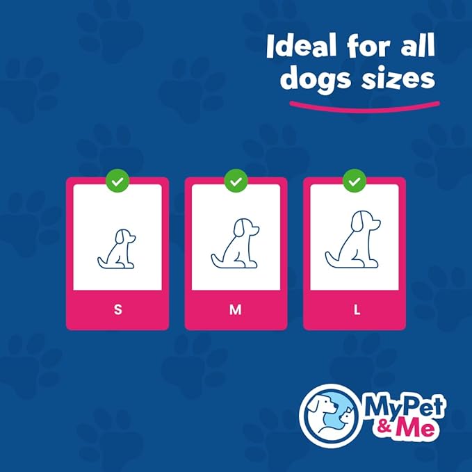 My Pet & Me - Squeaky Dog Toys for Light to Moderate Chewers - Fun Latex Toys for Puppies, Teething, and Gentle Play - Interactive Fetch and Chew Toy with Squeaker (Golden Bear, 6 Inch)