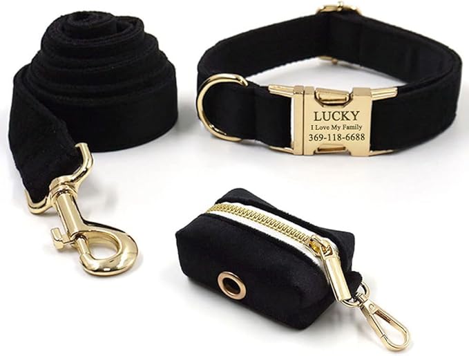 PETDURO Custom Dog Collar Personalized with Name Engraved Quick Release Rose Gold Metal Buckle for Large Medium Small Girl Dogs - Dog Leash and Bow Tie Available - Soft Comfy Velvet (Black G, XS)