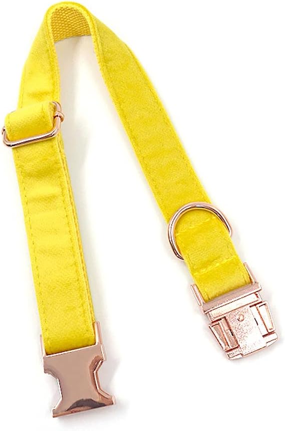 PETDURO Custom Dog Collar Personalized with Name Engraved Quick Release Rose Gold Metal Buckle for Large Medium Small Girl Dogs - Dog Leash and Bow Tie Available - Soft Comfy Velvet (Yellow, XL)