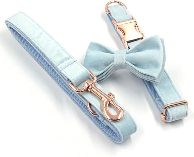 PETDURO Custom Dog Collar Personalized with Name Engraved Quick Release Rose Gold Metal Buckle for Large Medium Small Girl Dogs - Dog Leash and Bow Tie Available - Soft Comfy Velvet (Sky Blue, M)