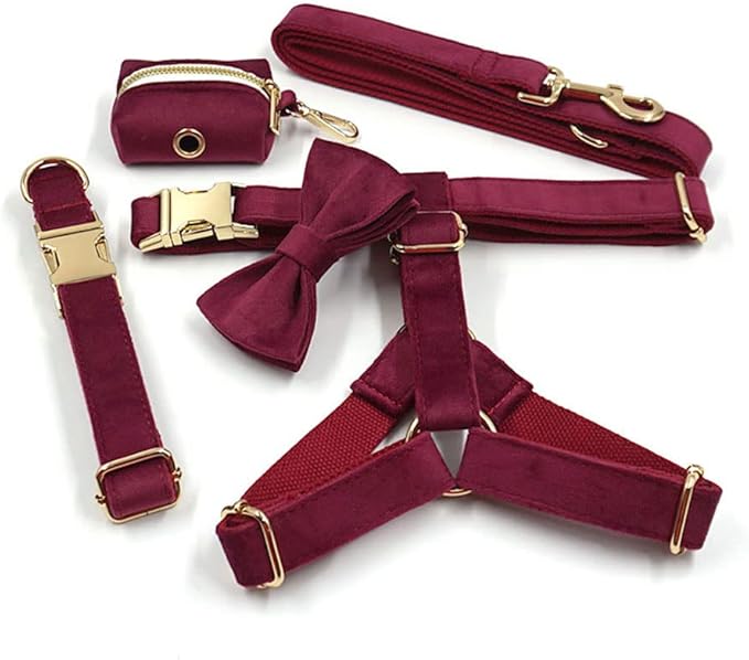 PETDURO Custom Dog Collar Personalized with Name Engraved Gold Metal Buckle for Large Medium Small Girl Dogs - Dog Leash Bow Tie and Harness Available - Soft Comfy Velvet (Claret G, XL)