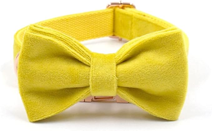 PETDURO Custom Dog Collar Personalized with Name Engraved Quick Release Rose Gold Metal Buckle for Large Medium Small Girl Dogs - Dog Leash and Bow Tie Available - Soft Comfy Velvet (Yellow, M)