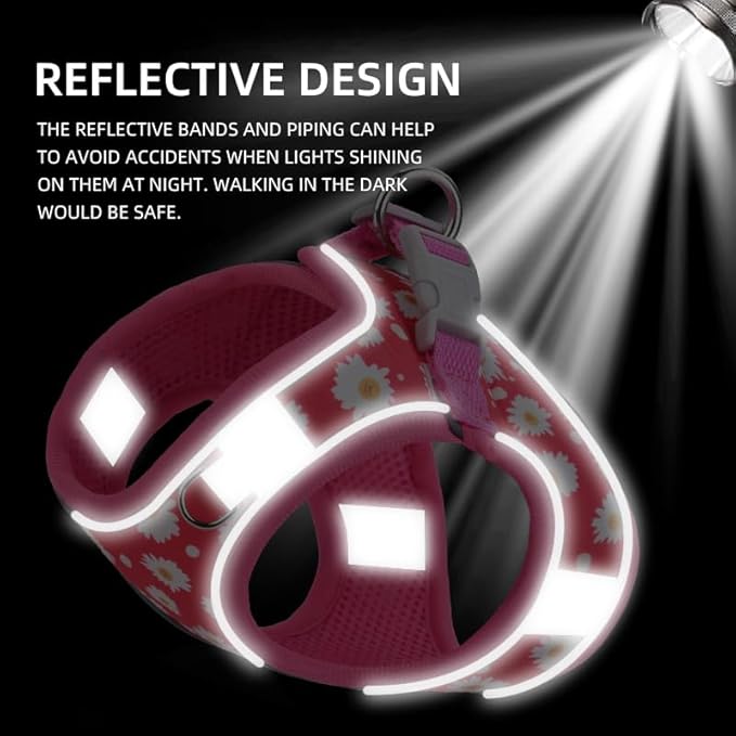 Step in Dog Harness and Leash Set, Flower Adjustable Easy Walk Puppy Harnesses, Soft Mesh Pet Vest Harness Small Size Dog Adjustable No Pull Dog Harness for Small Dogs and Cats(Dinosaur1, XXS)