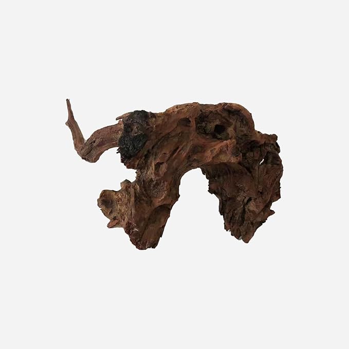 LYPHARD AQUARIUMS Natural Driftwood for Aquarium Decor, L19.69×W11.81×H7.87 Inches Large Drift Wood Decorations for Reptile Hide, Fish Tank, Optional Shapes