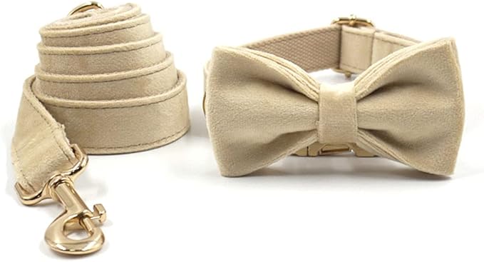 PETDURO Custom Dog Collar Personalized with Name Engraved Quick Release Rose Gold Metal Buckle for Large Medium Small Girl Dogs - Dog Leash and Bow Tie Available - Soft Comfy Velvet (Pale Brown, S)