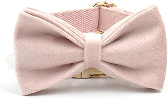 PETDURO Custom Dog Collar Personalized with Name Engraved Quick Release Rose Gold Metal Buckle for Large Medium Small Girl Dogs - Dog Leash and Bow Tie Available - Soft Comfy Velvet (Pink, S)