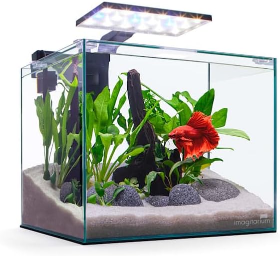 Imagitarium Glass Betta Aquarium Kit, 5 Gallons