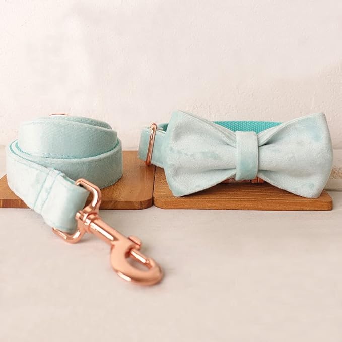 PETDURO Custom Dog Collar Personalized with Name Engraved Quick Release Rose Gold Metal Buckle for Large Medium Small Girl Dogs - Dog Leash and Bow Tie Available - Soft Comfy Velvet (Mint Blue, S)