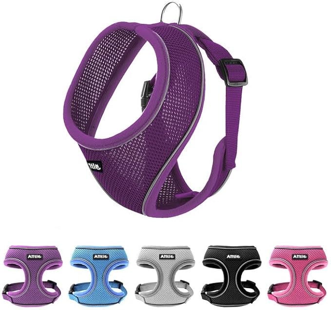 AIITLE Harness Medium Size Dog, Comfortable Adjustable Mesh Vest with Quick-Release Buckle, Reflective Safety Strips – Perfect for Poodles, Teddy Dogs (M, Purple)