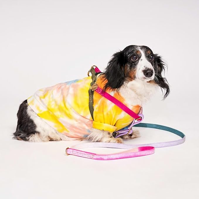 FOUND MY ANIMAL - The Original Jolie Webbing Cotton Cat & Dog Harness (Large) - Hand Dyed & Crafted Dog Harness - Adjustable, Pet Harness with Solid Brass Rings & Buckle Dog Training Harness