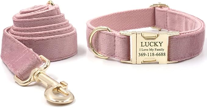 PETDURO Custom Dog Collar Personalized with Name Engraved Gold Metal Buckle for Large Medium Small Girl Dogs - Dog Leash and Bow Tie Available - Soft Comfy Velvet (Champagne Pink, XS)