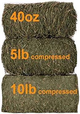 Grandpa's Best Prairie Hay Bale, 5 lbs