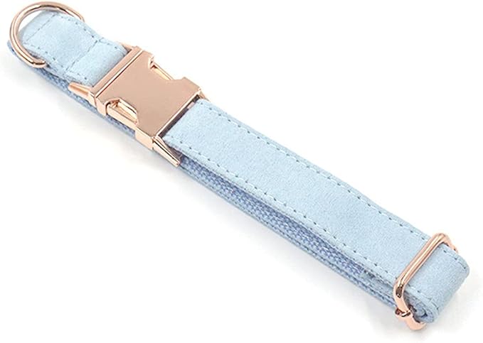 PETDURO Custom Dog Collar Personalized with Name Engraved Quick Release Rose Gold Metal Buckle for Large Medium Small Girl Dogs - Dog Leash and Bow Tie Available - Soft Comfy Velvet (Light Blue, M)