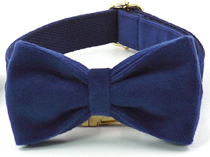 PETDURO Custom Dog Collar Personalized with Name Engraved Quick Release Rose Gold Metal Buckle for Large Medium Small Girl Dogs - Dog Leash and Bow Tie Available - Soft Comfy Velvet (Dark Blue, S)