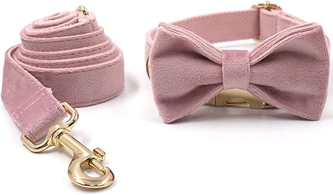 PETDURO Custom Dog Collar Personalized with Name Engraved Gold Metal Buckle for Large Medium Small Girl Dogs - Dog Leash and Bow Tie Available - Soft Comfy Velvet (Champagne Pink, XS)