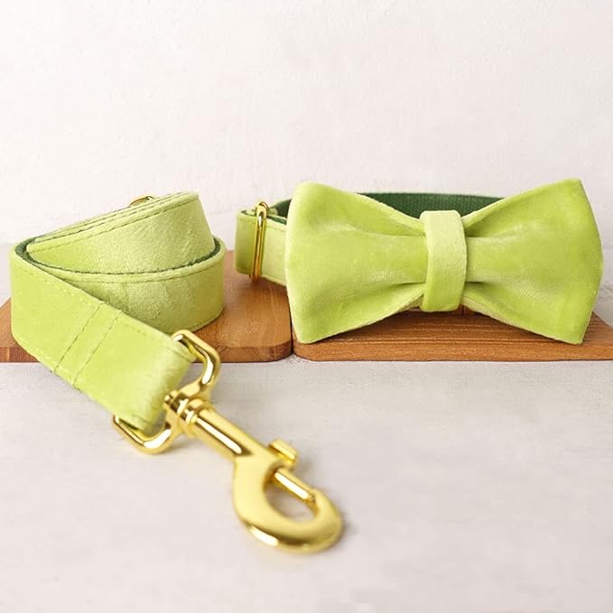 PETDURO Custom Dog Collar Personalized with Name Engraved Quick Release Rose Gold Metal Buckle for Large Medium Small Girl Dogs - Dog Leash and Bow Tie Available - Soft Comfy Velvet (Mint Green, S)