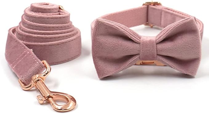 PETDURO Custom Dog Collar Personalized with Name Engraved Rose Gold Metal Buckle for Large Medium Small Girl Dogs - Dog Leash and Bow Tie Available - Soft Comfy Velvet (Champagne Pink RG, XS)