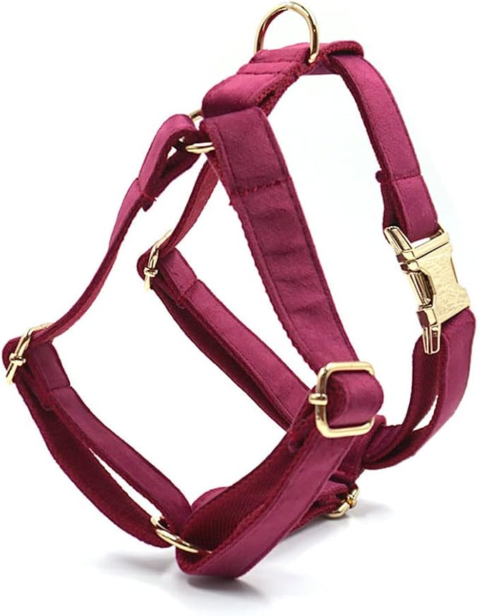 PETDURO Custom Dog Collar Personalized with Name Engraved Gold Metal Buckle for Large Medium Small Girl Dogs - Dog Leash Bow Tie and Harness Available - Soft Comfy Velvet (Claret G, XL)