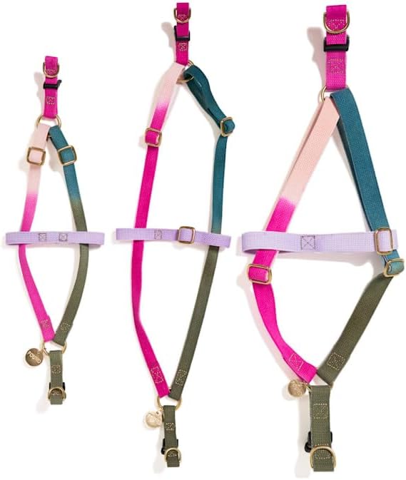 FOUND MY ANIMAL - The Original Jolie Webbing Cotton Cat & Dog Harness (Large) - Hand Dyed & Crafted Dog Harness - Adjustable, Pet Harness with Solid Brass Rings & Buckle Dog Training Harness