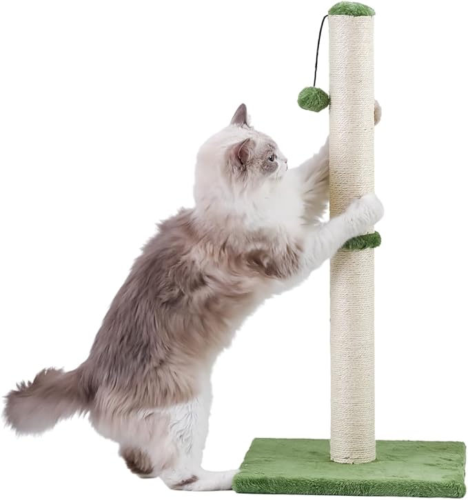 Dimaka Tall Cat Scratching Post, Claw Scratcher with Sisal Rope and Covered with Soft Smooth Plush, Vertical Scratch [Full Strectch] for Standard Size Cats (Green, 34 inches for Large Cats)