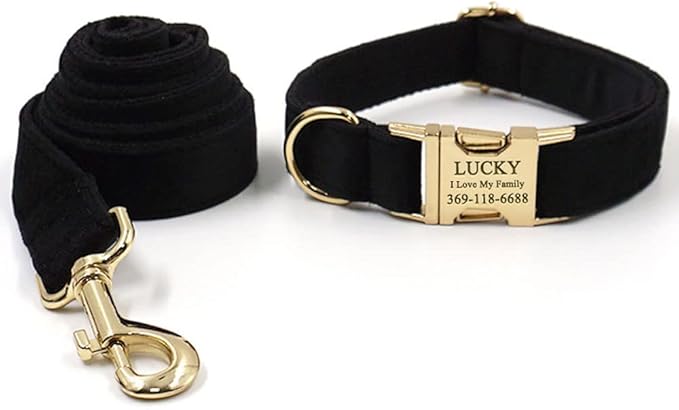 PETDURO Custom Dog Collar Personalized with Name Engraved Quick Release Rose Gold Metal Buckle for Large Medium Small Girl Dogs - Dog Leash and Bow Tie Available - Soft Comfy Velvet (Black G, XL)