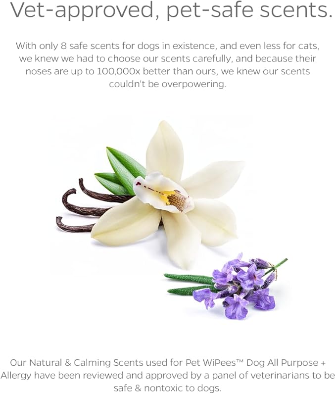 Dog All Purpose + Allergy Pet WiPees™ – 100 Allergy Wipes for Dogs, All Natural Dog Wipes for Paws, Folds & Hot Spots, Daily Pet Wipes for Allergy Relief & Skin Health (Natural, 100ct)