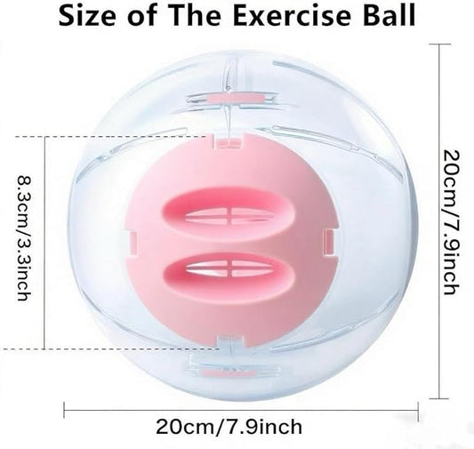 Hamster Exercise Ball, 7.9 Inch Syrian Hamster Ball, Transparent, Large Ball with Four entrances (Pink)