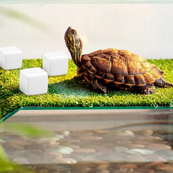 DQITJ 24 Pcs Reptile Calcium Stone Natural Calcium Mineral for Turtle Tortoise Lizard Frog Chameleon Reptiles