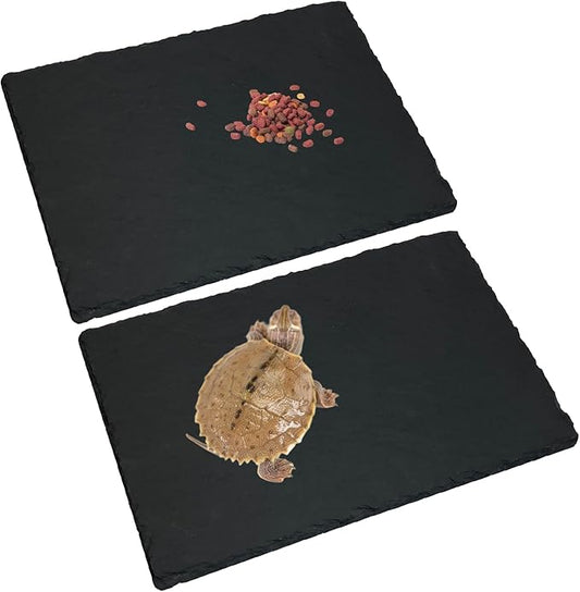 Tfwadmx Reptile Basking Platform Tortoise Feeding Dish Natural Rock Food Bowl Landscape Habitat Decor for Turtle Lizard Bearded Dragon Crested Gecko Snake 2Pcs