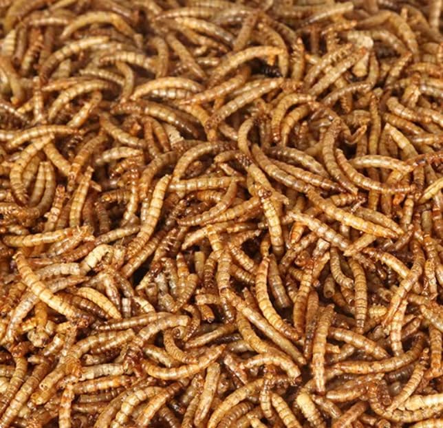 Bulk Dried Mealworms 5Lb Bag -Premium Non-GMO Dried Mealworms for Chicken, Nutritious High Protein - 100% Natural Mealworms for Laying Hens, Birds, Ducks, Chicken Feed