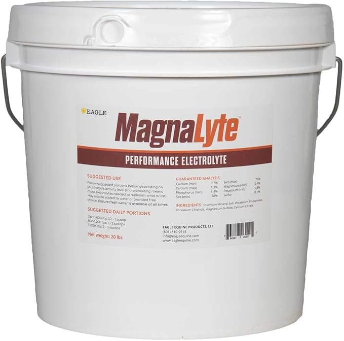 MagnaLyte Loose Salt and Electrolytes for Horses by Eagle Equine | Mineral sea Salt, Trace Minerals, Electrolytes | 20 Pound Bucket