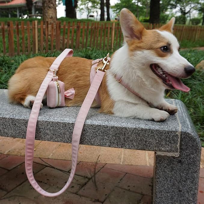 PETDURO Custom Dog Collar Personalized with Name Engraved Quick Release Rose Gold Metal Buckle for Large Medium Small Girl Dogs - Dog Leash and Bow Tie Available - Soft Comfy Velvet (Pink, XL)