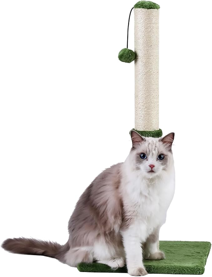 Dimaka Tall Cat Scratching Post, Claw Scratcher with Sisal Rope and Covered with Soft Smooth Plush, Vertical Scratch [Full Strectch] for Standard Size Cats (Green, 34 inches for Large Cats)