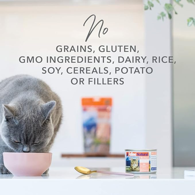 Feline Natural New Zealand Canned Catfood Wet Food, High-Meat, Low-Carb, & Grain Free Cat Food Wet, Beef Feast, 6 oz, Pack of 12