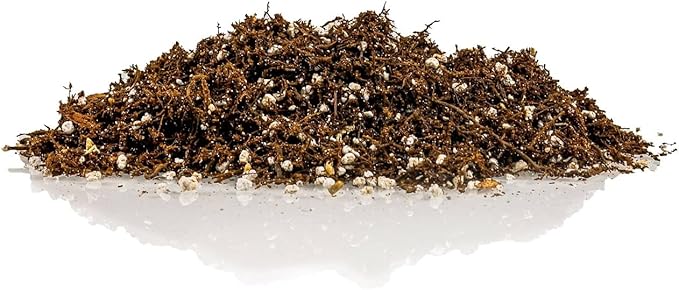 Gardenera Fern + Perlite Soil Mix for Repotting and Planting Succulents and Cactuses - 4 Quart Bag