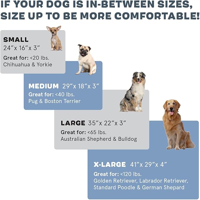 Barkbox Orthopedic Dog Bed | Comfortable Memory Foam Mattress for Joint Relief | Head and Neck Support Waterproof with Non Skid Bottom | Calming Durable Bed with Washable Cover | Small, White Plaid