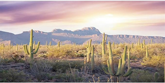 AWERT Reptile Habitat Background Blue Sky Oasis Mountain Cactus Sun and Desert Terrarium Background 30x18 inches
