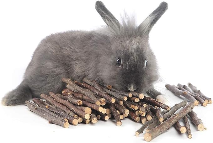 William Craft Apple Sticks Pet Chew Toys Treats for Chinchilla Guinea Pigs Rabbits Squirrel Hamster Bunny